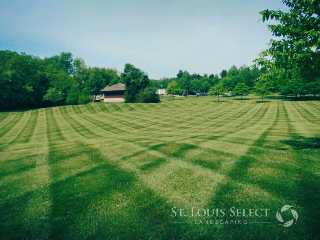 Should I Ask for Help with My Lawn Care? - St. Louis Select Landscaping