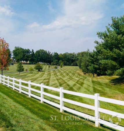 Beautiful Lawn Maintenance